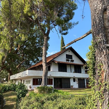 Wild Oaks Cottage كريوبيجي المظهر الخارجي الصورة