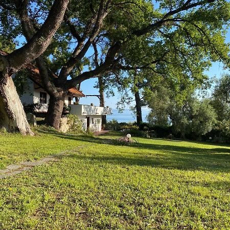 Wild Oaks Cottage كريوبيجي المظهر الخارجي الصورة