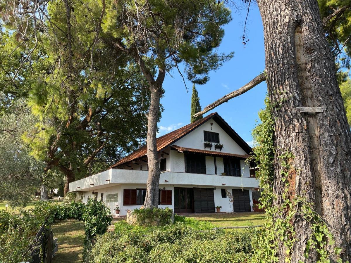 Wild Oaks Cottage كريوبيجي المظهر الخارجي الصورة