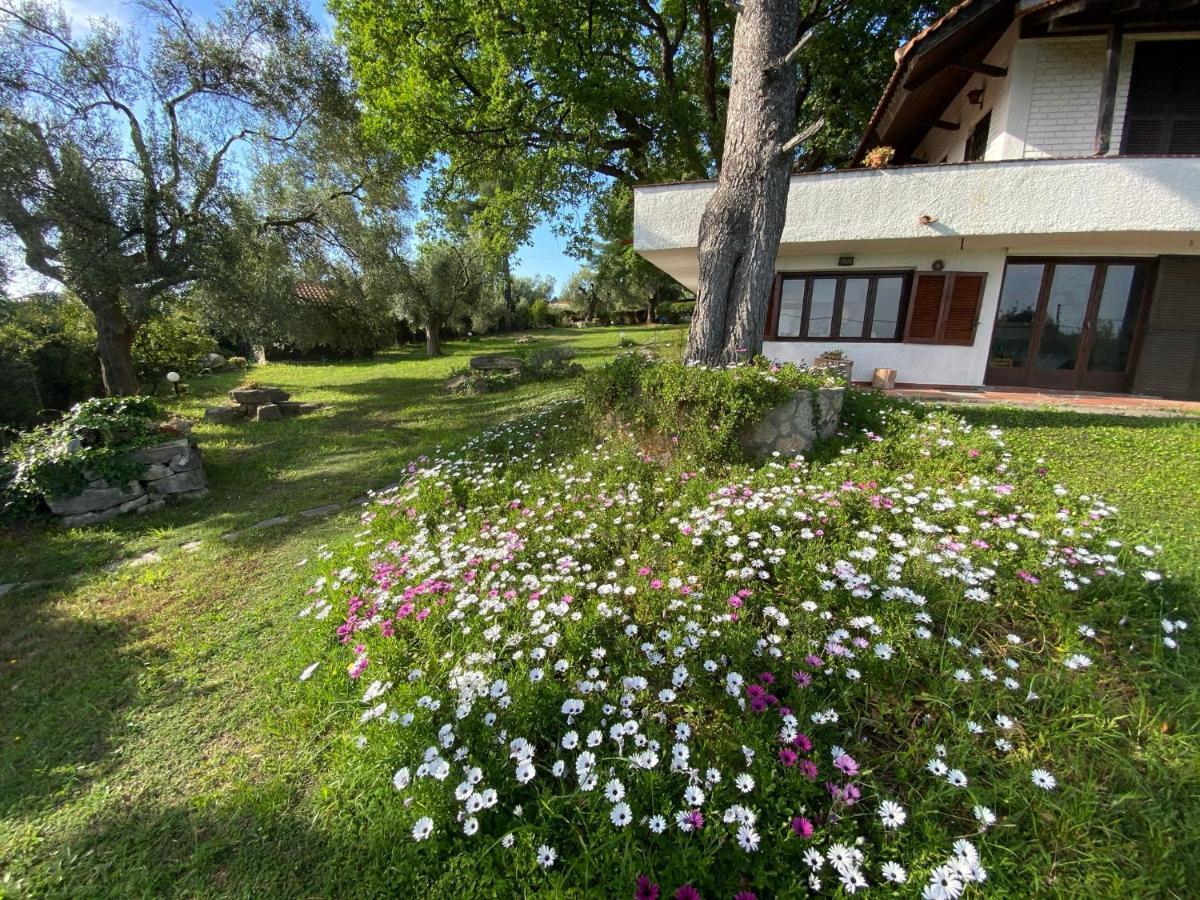 Wild Oaks Cottage كريوبيجي المظهر الخارجي الصورة