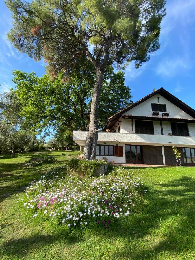 Wild Oaks Cottage كريوبيجي المظهر الخارجي الصورة
