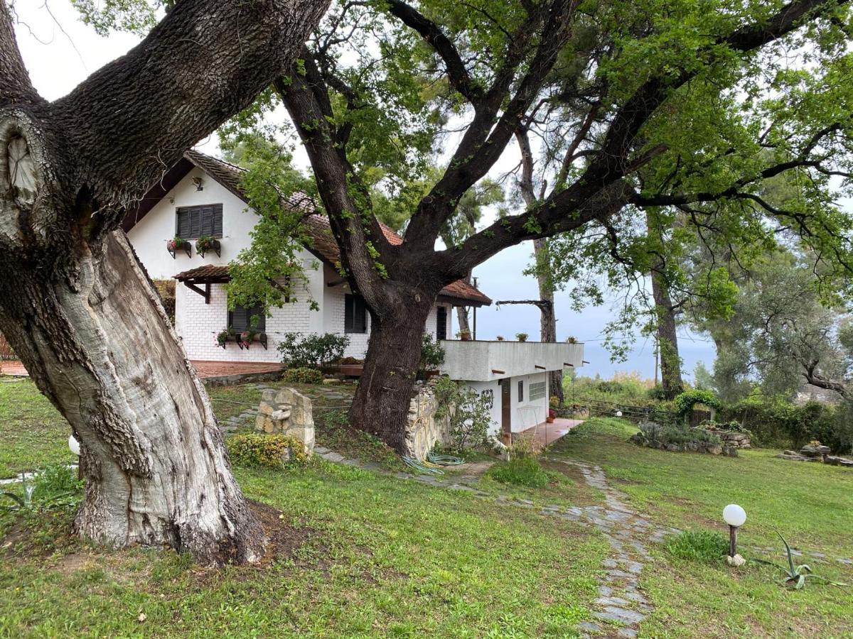 Wild Oaks Cottage كريوبيجي المظهر الخارجي الصورة
