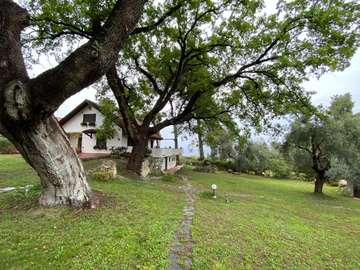 Wild Oaks Cottage كريوبيجي المظهر الخارجي الصورة