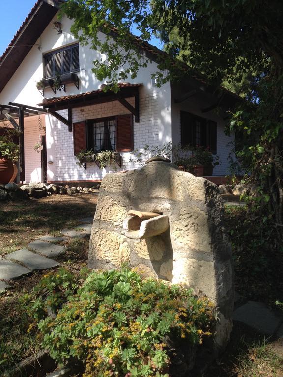 Wild Oaks Cottage كريوبيجي المظهر الخارجي الصورة