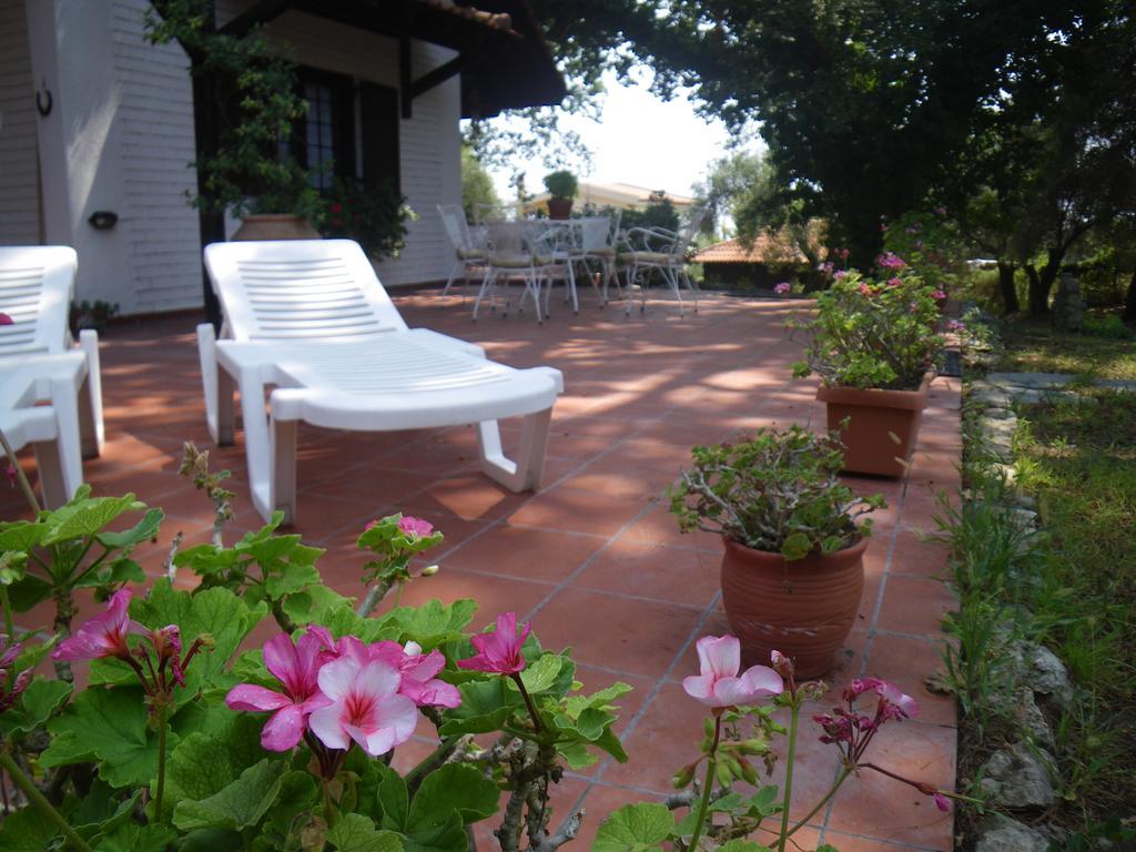 Wild Oaks Cottage كريوبيجي المظهر الخارجي الصورة