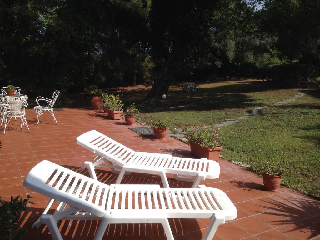 Wild Oaks Cottage كريوبيجي المظهر الخارجي الصورة